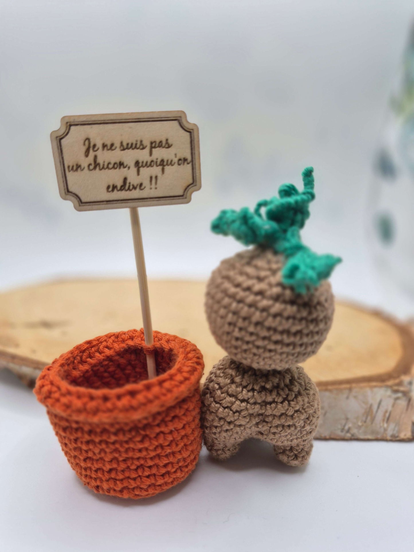Amigurumi Mandragore "Je ne suis pas un chicon, quoiqu'on endive !!"
